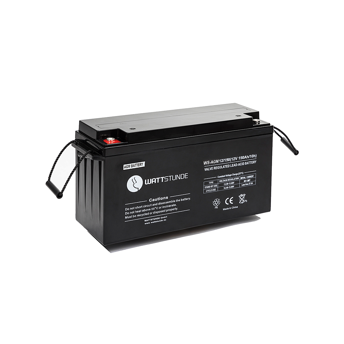 WATTSTUNDE AGM-Batterie VRLA Akku 100Ah 12V